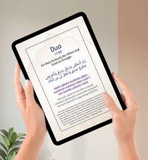 Kindle Edition